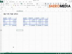 실무에서 바로 사용하는 Excel 2013 배우기