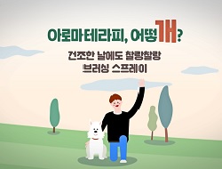 아로마테라피, 어떻개? - 브러싱 스프레이 만들기