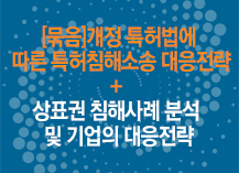 [묶음]개정 특허법에 따른 특허침해소송 대응전략+ 상표권 침해사례 분석 및 기업의 대응전략