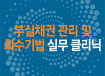 부실채권 관리 및 회수기법 실무 클리닉